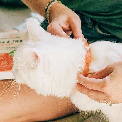 Flea & Tick Collar for Dogs + Cats